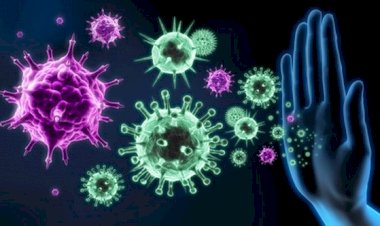 វិធីសាស្រ្តបង្កើនប្រសិទ្ធភាពប្រព័ន្ធភាពស៊ាំក្នុងរាង្គកាយ ប្រឆាំងនឹងវីរុសកូវីដ១៩ (COVID-19)