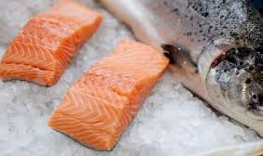 ប្រវត្តិខ្លះរបស់ត្រីសាលម៉ុនដែលអ្នកគួរដឹង