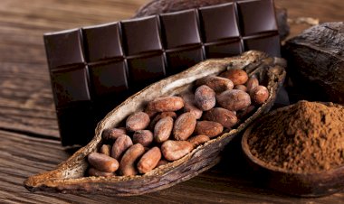 អត្ថប្រយោជន៍សុខភាពនិងអាហារូបត្ថម្ភរបស់ម្សៅកាកាវ