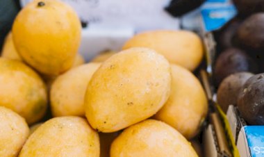 គុណប្រយោជន៍ ៨ យ៉ាងដែលមិនគួរឱ្យជឿរបស់ផ្លែស្វាយ