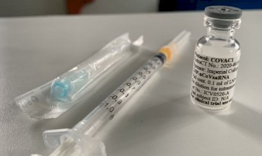 សាកលវិទ្យាល័យមួយនៅអង់គ្លេសចាប់ផ្តើមការសាកល្បងវ៉ាក់សាំងការពារវីរុសកូវីដ១៩ទៅលើមនុស្ស បន្ទាប់ពីសាកលវិទ្យាល័យOXFORD