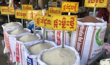 ៤ខែដើមឆ្នាំនេះ កម្ពុជានាំអង្ករចេញកើនដល់កម្រិតខ្ពស់ជាងគេក្នុងរយៈពេល១០ឆ្នាំចុងក្រោយ