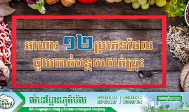 [វីដេអូ] អាហារ ១២ប្រភេទដែលជួយកាត់បន្ថយសក់ជ្រុះ
