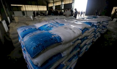 ថៃរឹបអូសបានគ្រឿងញៀនជាង១១តោន មានតម្លៃប្រមាណ ១ពាន់លានដុល្លារ