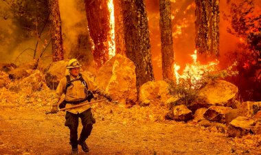 ភ្លើងឆេះព្រៃនៅរដ្ឋកាលីហ្វ័រញ៉ាកើនឡើងដល់១.៦លានហិកតាហើយនៅឆ្នាំនេះ