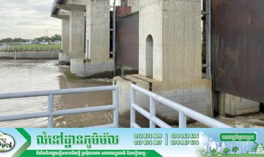 ស្ថានភាពកម្ពស់ទឹកស្ទឹងព្រែកត្នោត នៅសំណង់ទ្វារទឹកទំនប់អាង ៧មករានៅព្រឹកនេះ