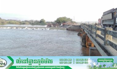ស្ថានភាពកម្ពស់ទឹកស្ទឹងព្រែកត្នោត នៅសំណង់ទ្វារទឹកទំនប់អាង៧មករា