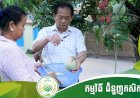 ជំនួញកសិកម្ម Ep.1 តំបន់កសិទេសចរណ៍ ម៉ុង ឫទ្ធី សែនជ័យ