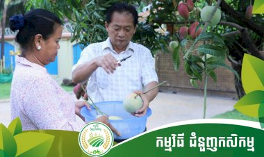 ជំនួញកសិកម្ម Ep.1 តំបន់កសិទេសចរណ៍ ម៉ុង ឫទ្ធី សែនជ័យ