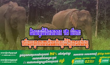 ទិវាសត្វដំរីពិភពលោក ១២ សីហា៖ យើងរួមគ្នាការពារនិងអភិរក្សដំរីឱ្យបានគង់វង្ស