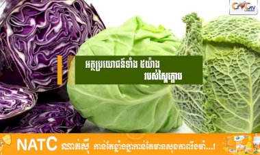 [វីដេអូ] # Ep.73 អត្ថប្រយោជន៍ទាំង ៥យ៉ាងរបស់ស្ពៃក្តោប