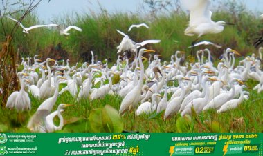 ក្រសួងបរិស្ថានរៀបចំដាក់តំបន់ការពារទេសភាពបឹងព្រែកល្ពៅជាតំបន់រ៉ាមសារដោយសារតែ...