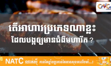 [វីដេអូ] # Ep.55 តើអាហារប្រភេទណាខ្លះដែលបង្កឲ្យមានជំងឺមហារីក?