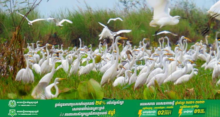 ក្រសួងបរិស្ថានរៀបចំដាក់តំបន់ការពារទេសភាពបឹងព្រែកល្ពៅជាតំបន់រ៉ាមសារដោយសារតែ...