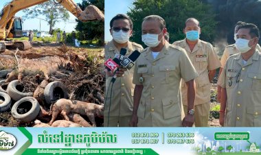 មន្ត្រីជំនាញដុតកម្ទេចចោលសត្វជ្រូកចំនួន៥០ក្បាល បន្ទាប់ពីរកឃើញមានជំងឺប៉េស្តជ្រូកអាហ្វ្រិក