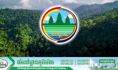 កម្ពុជាបានទទួលថវិកាចំនួន ១១,៦ លានដុល្លារ ពីការលក់ឥណទានកាបូនក្នុងគម្រោងចំនួនពីរ ឱ្យទៅក្រុមហ៊ុនអន្តរជាតិធំៗ ចាប់តាំងពីឆ្នាំ២០១៦