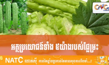 [វីដេអូ] # Ep.66 អត្ថប្រយោជន៍ទាំង ៥យ៉ាងរបស់ផ្លែម្រះ