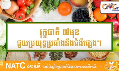 [វីដេអូ] # Ep.64 រុក្ខជាតិ ៧មុខជួយប្រយុទ្ធប្រឆាំងនឹងជំងឺផ្សេងៗ