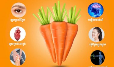 អត្ថប្រយោជន៍សុខភាពទាំង ៦យ៉ាងនៃការទទួលទានការ៉ុត