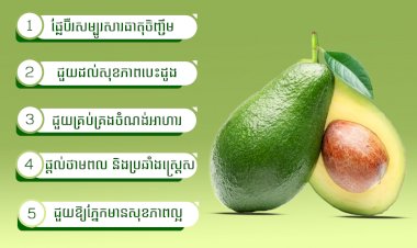 អត្ថប្រយោជន៍ ៥ យ៉ាងនៃផ្លែប៊ឺរ