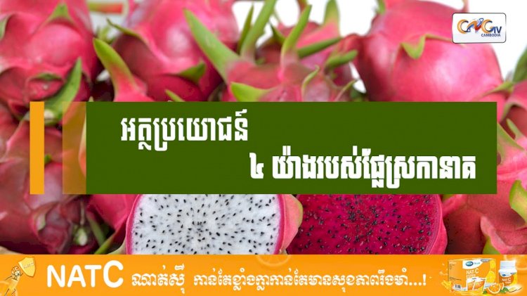 [វីដេអូ] # Ep.77 អត្ថប្រយោជន៍ ៤យ៉ាងរបស់ផ្លែស្រកានាគ