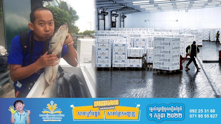 តើអ្នកដឹងទេថាទីផ្សារកម្ពុជាត្រូវការត្រីសាល់ម៉ុនជាង ២០តោន ក្នុងមួយអាទិត្យ?