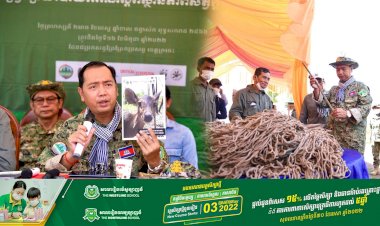 វត្តមានសត្វក្តាន់ដែលជាប្រភេទកម្រក្នុងប្រទេសកម្ពុជាផ្តល់ក្តីសង្ឃឹមសម្រាប់ការអភិរក្សនៅកម្ពុជា និងពិភពលោក