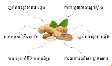 តើសណ្តែកដីមានអត្ថប្រយោជន៍អ្វីខ្លះ?