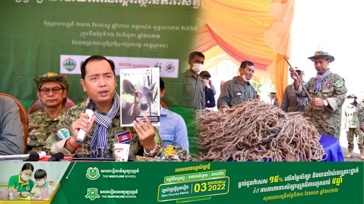 វត្តមានសត្វក្តាន់ដែលជាប្រភេទកម្រក្នុងប្រទេសកម្ពុជាផ្តល់ក្តីសង្ឃឹមសម្រាប់ការអភិរក្សនៅកម្ពុជា និងពិភពលោក