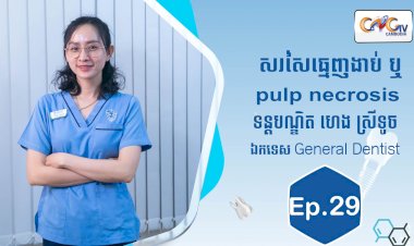 [វីដេអូ] Ep.29 ប្រធានបទ៖ សរសៃធ្មេញងាប់​ ឬ​ pulp necrosis