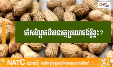 [វីដេអូ] #Ep.94 ប្រធានបទ៖ តើសណ្តែកដីមានអត្ថប្រយោជន៍អ្វីខ្លះ?