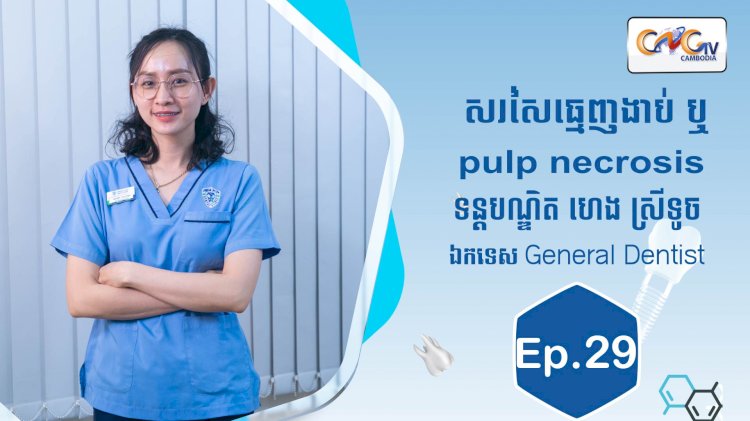 [វីដេអូ] Ep.29 ប្រធានបទ៖ សរសៃធ្មេញងាប់​ ឬ​ pulp necrosis