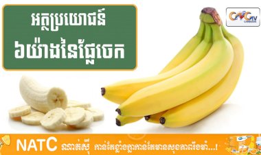 [វីដេអូ] #Ep.118 ប្រធានបទ៖ អត្ថប្រយោជន៍ ៦យ៉ាងនៃផ្លែចេក