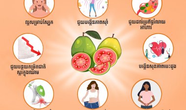 អត្ថប្រយោជន៍សុខភាព ៨ យ៉ាងនៃផ្លែត្របែក