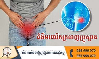 ប្រធានបទ ៖ ជំងឺមហារីកក្រពេញប្រូស្តាត (Prostate Cancer)