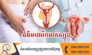 ប្រធានបទ ៖ ជំងឺមហារីកមាត់ស្បូន