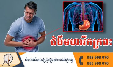 ប្រធានបទ ៖ ជំងឺមហារីកក្រពះ