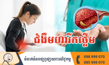 ប្រធានបទ ៖ ជំងឺមហារីកថ្លើម