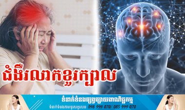 ប្រធានបទ ៖ ជំងឺរលាកខួរក្បាល