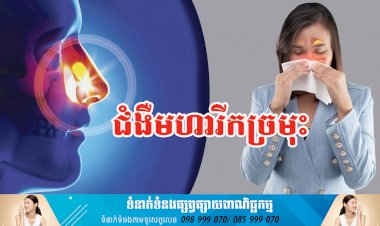 ប្រធានបទ ៖ ជំងឺមហារីកច្រមុះ