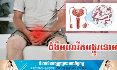 ប្រធានបទ៖ ជំងឺមហារីកបង្ហូរនោម