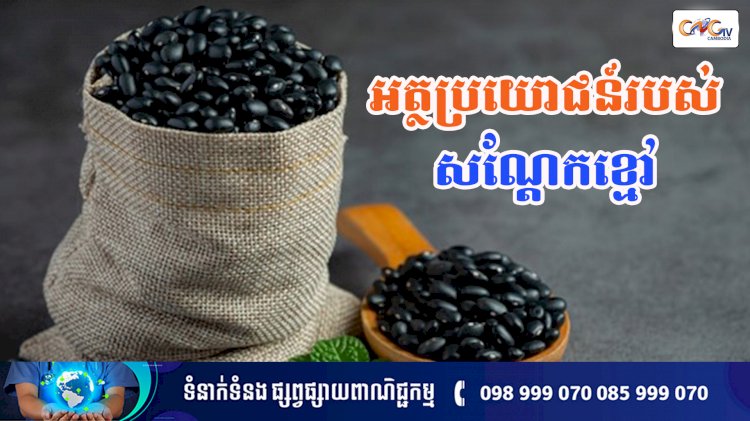 [វីដេអូ] Ep.141 ប្រធានបទ ៖ អត្ថប្រយោជន៍របស់សណ្តែកខ្មៅ