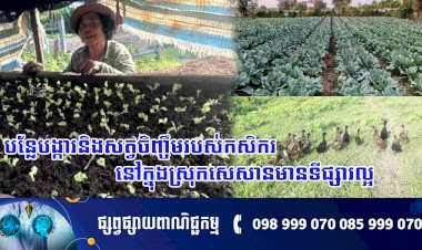 បន្លែបង្ការ​​​ និងសត្វចិញ្ចឹមរបស់កសិករនៅក្នុងស្រុកសេសានមានទីផ្សារល្អ