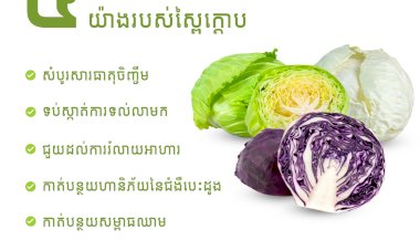 អត្ថប្រយោជន៍ទាំង ៥យ៉ាងរបស់ស្ពៃក្តោប