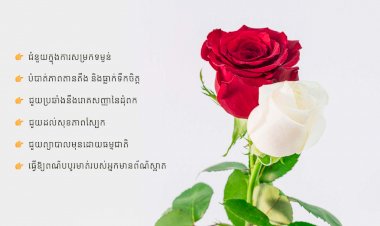 អត្ថប្រយោជន៍សុខភាពនិងសម្រស់ ៦យ៉ាងរបស់ផ្កាកុលាប