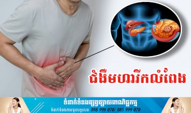 ប្រធានបទ ៖ ជំងឺមហារីកលំពែង