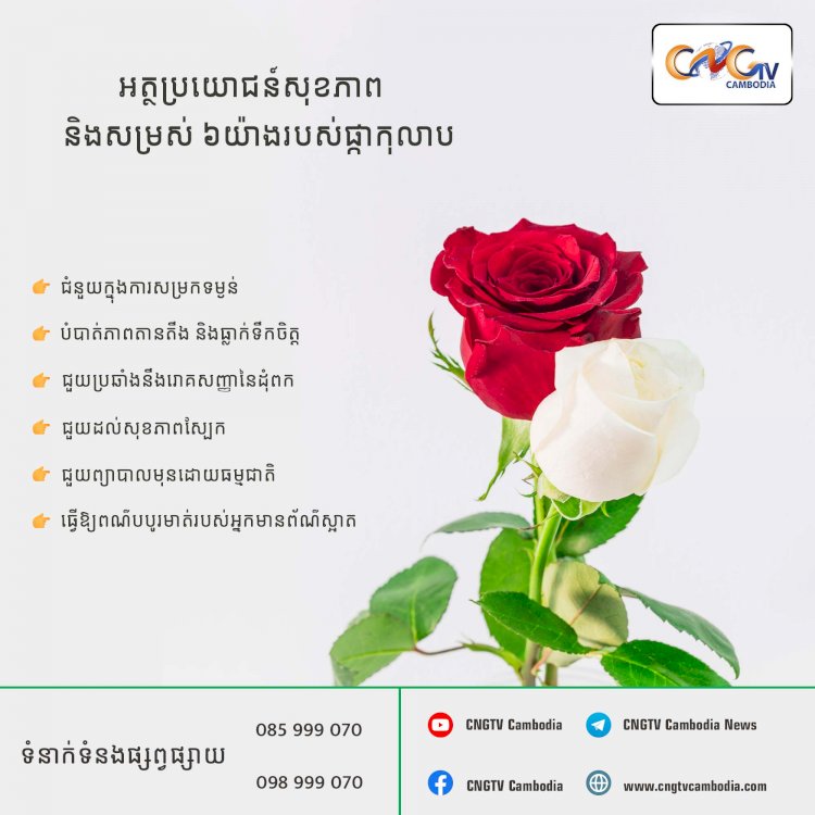 អត្ថប្រយោជន៍សុខភាពនិងសម្រស់ ៦យ៉ាងរបស់ផ្កាកុលាប