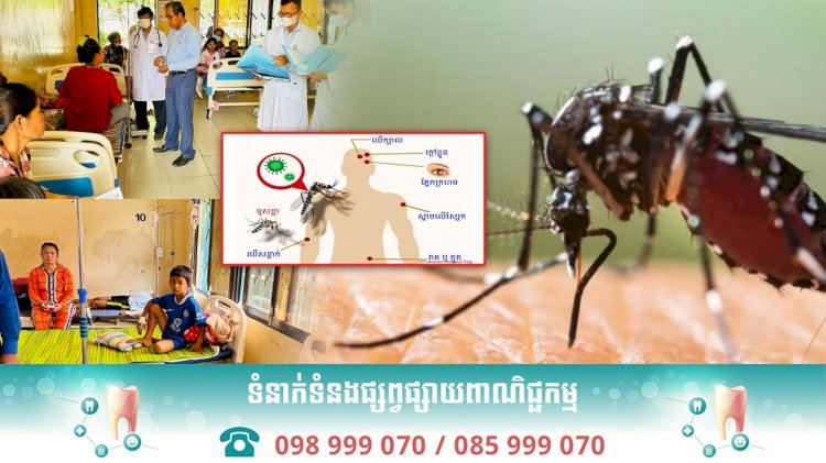 ខេត្តកំពង់ឆ្នាំង រកឃើញជំងឺគ្រុនឈាមលើកុមារចំនួន ១៤៣ករណី និងស្លាប់២ករណី