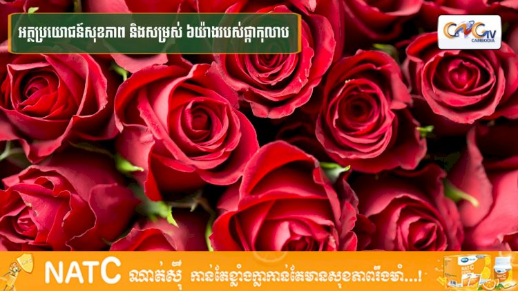 [វីដេអូ] #Ep.132 ប្រធានបទ៖ អត្ថប្រយោជន៍សុខភាព និងសម្រស់ ៦យ៉ាងរបស់ផ្កាកុលាប