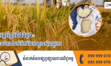 អង្ករខ្មែរជើងដំបូង បានដឹកទៅដល់កំពង់ផែឥណ្ឌូនេស៊ីជាផ្លូវការ